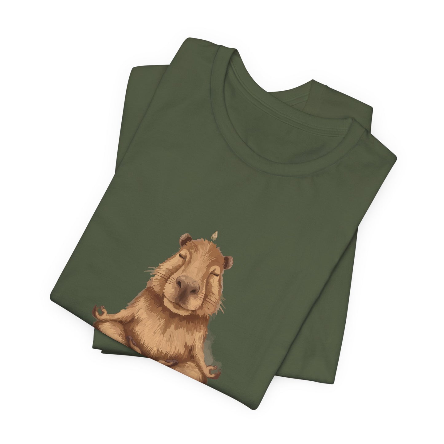 Capybara Shirt Retro T-shirt for Yoga Instructor Sweatshirt Oversized Sweater Yoga Top Hoodie Funny Tee Animal Lovers Gift - Bebe Buchi