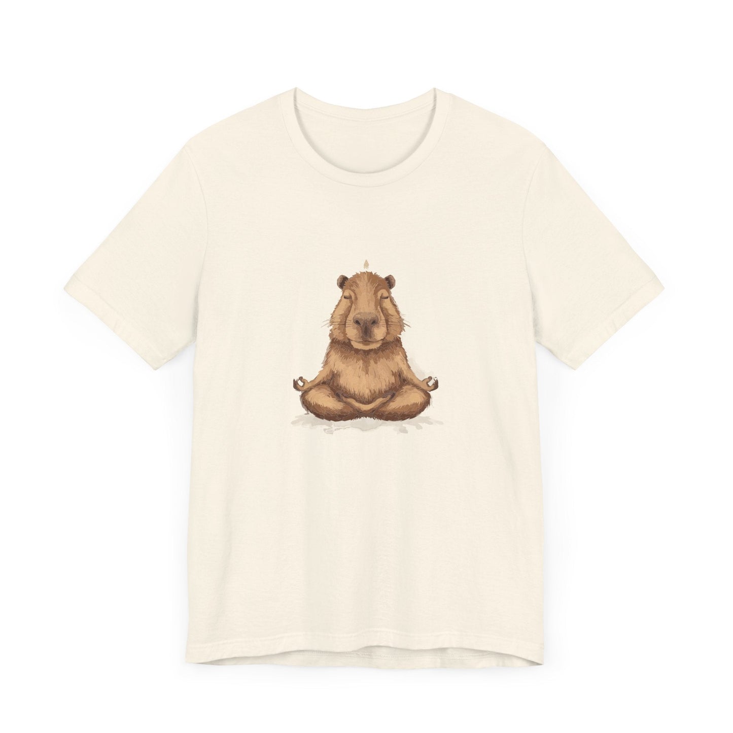 Capybara Shirt Retro T - shirt for Yoga Instructor Sweatshirt Oversized Sweater Yoga Top Hoodie Funny Tee Animal Lovers Gift - Bebe Buchi