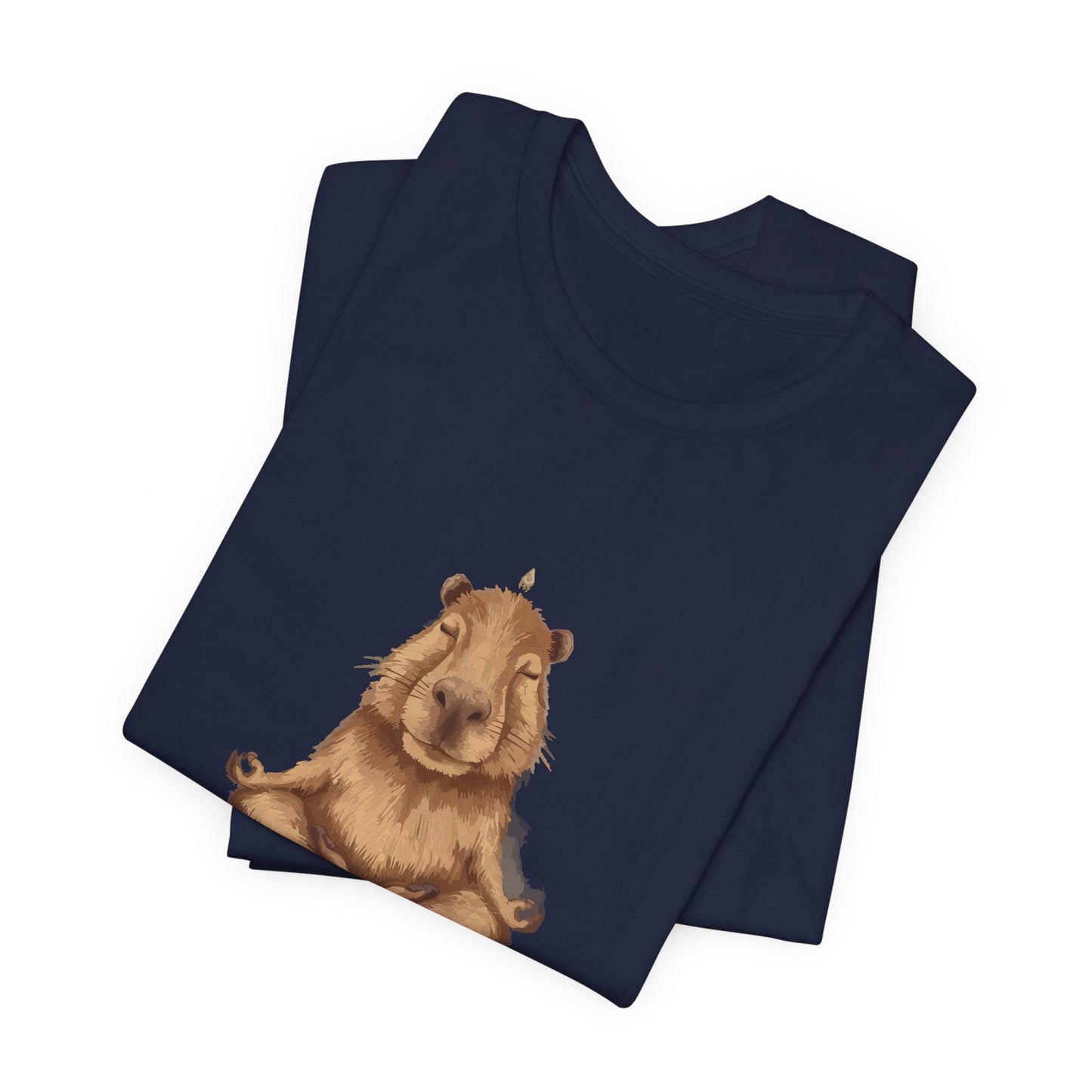 Capybara Shirt Retro T - shirt for Yoga Instructor Sweatshirt Oversized Sweater Yoga Top Hoodie Funny Tee Animal Lovers Gift - Bebe Buchi