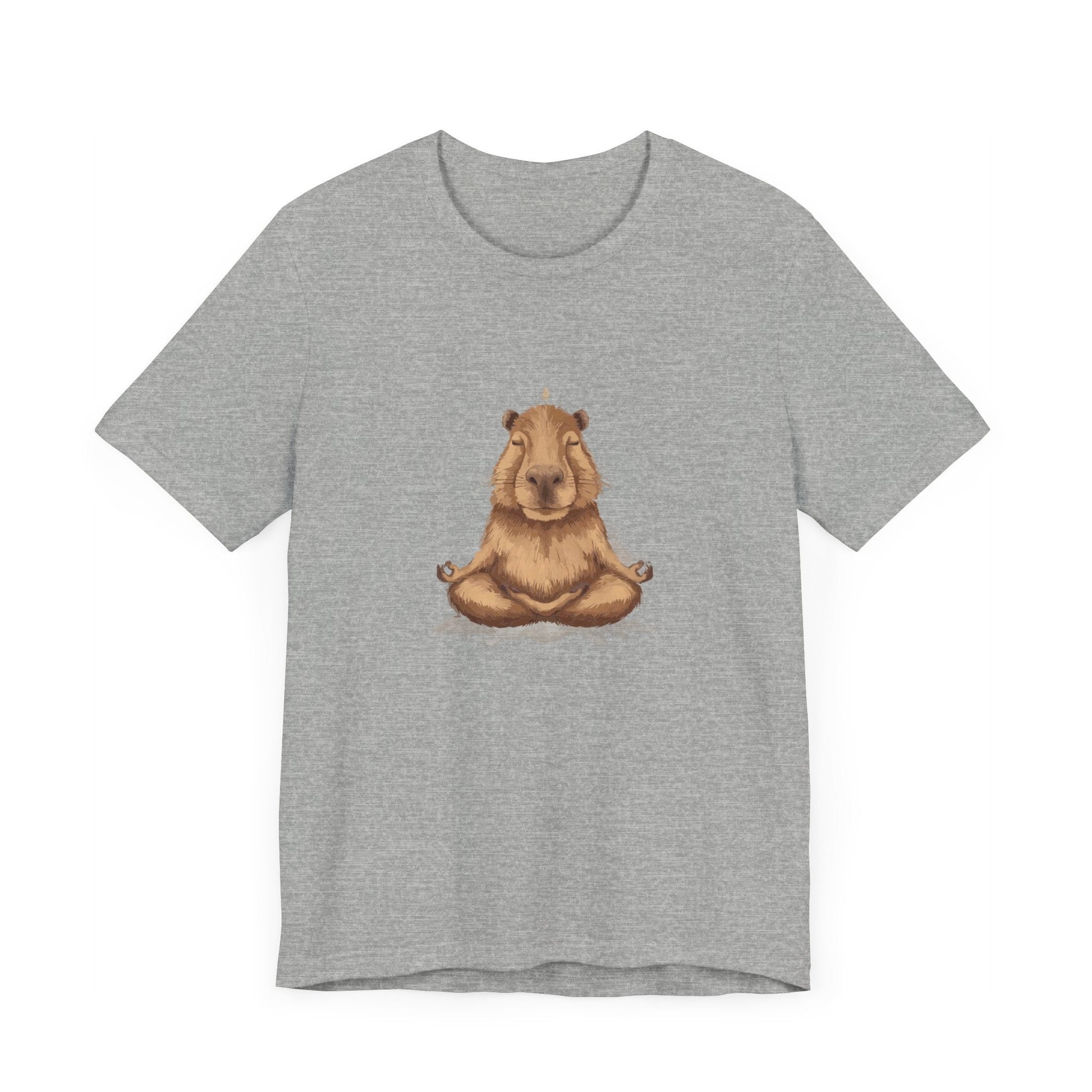 Capybara Shirt Retro T - shirt for Yoga Instructor Sweatshirt Oversized Sweater Yoga Top Hoodie Funny Tee Animal Lovers Gift - Bebe Buchi