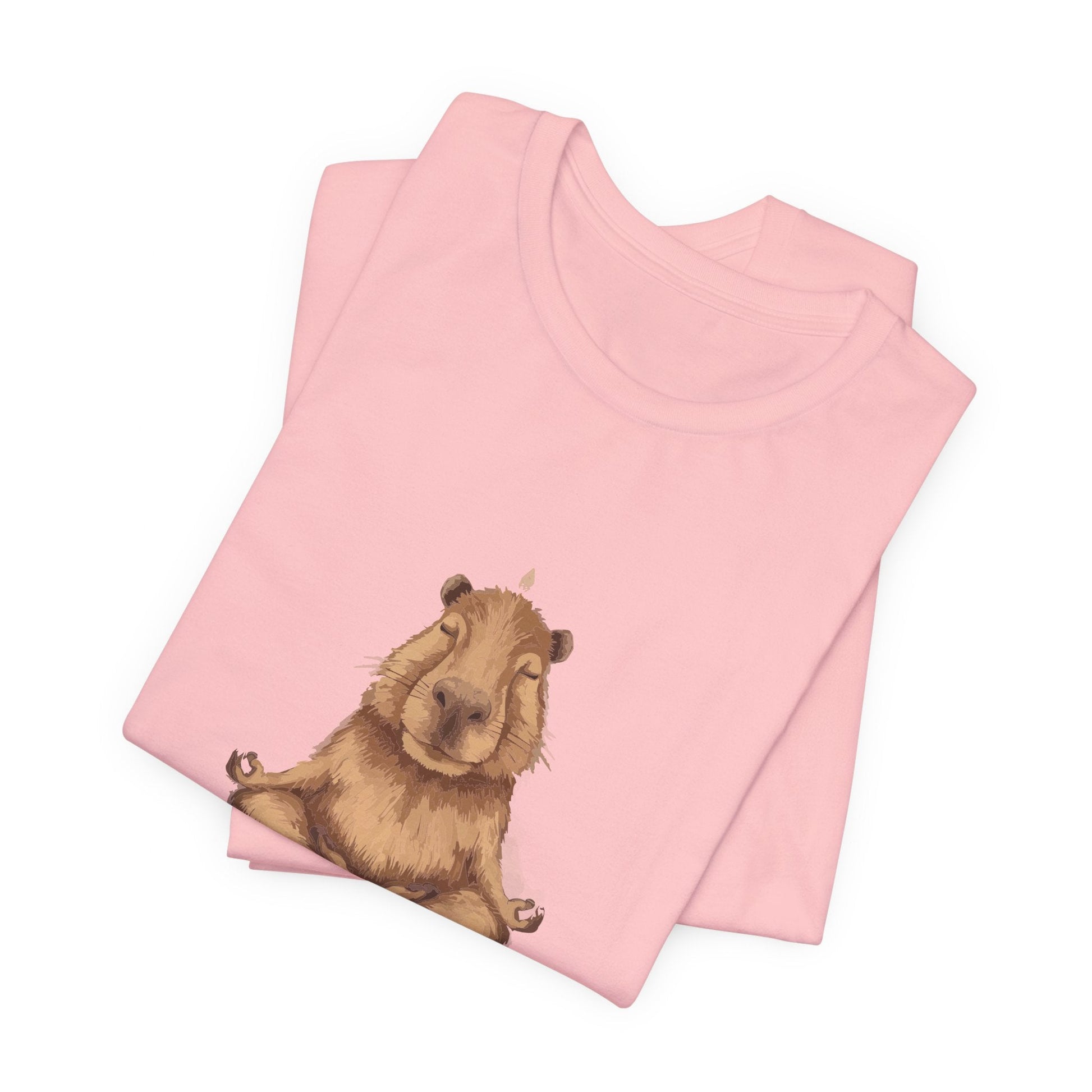 Capybara Shirt Retro T - shirt for Yoga Instructor Sweatshirt Oversized Sweater Yoga Top Hoodie Funny Tee Animal Lovers Gift - Bebe Buchi