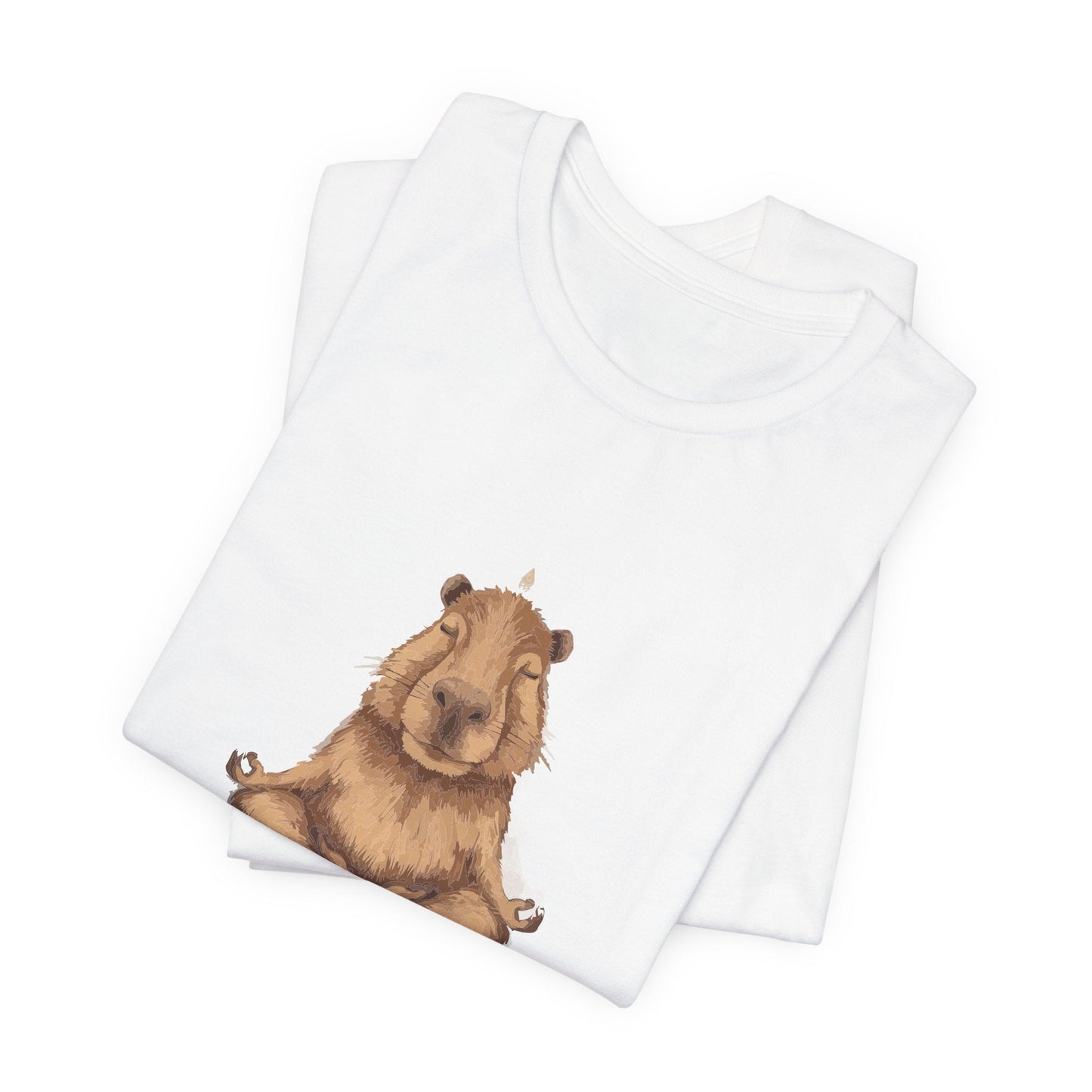 Capybara Shirt Retro T - shirt for Yoga Instructor Sweatshirt Oversized Sweater Yoga Top Hoodie Funny Tee Animal Lovers Gift - Bebe Buchi